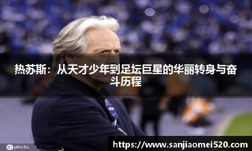 yy体育直播在线观看